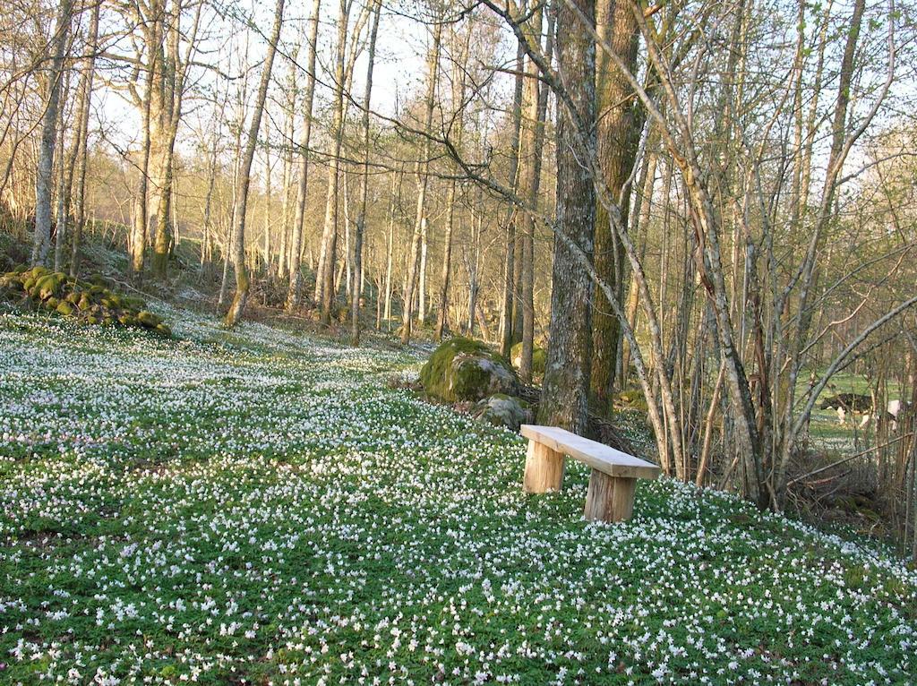 Wismens Natur & Fiske Krogsered Екстер'єр фото