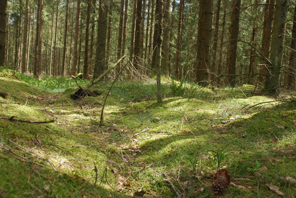 Wismens Natur & Fiske Krogsered Екстер'єр фото